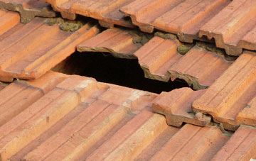 roof repair Salle, Norfolk